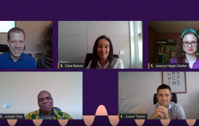 Screen grab from MIGNEX / IOM's GMDAC webinar on sampling survey respondents in migration surveys.