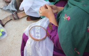 Migration-relevant policies in Afghanistan