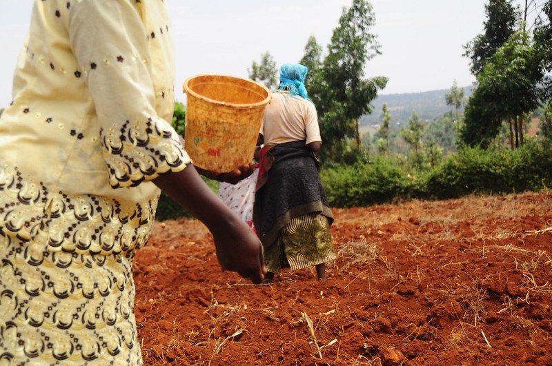 Women working in the field.