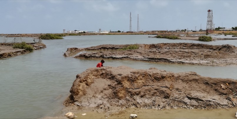 Boy catching crabs